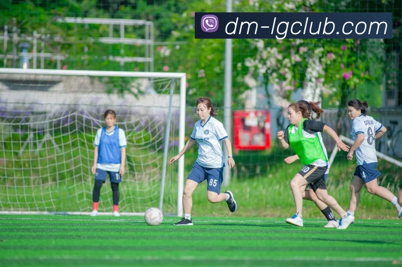 老哥俱乐部官网发展历程