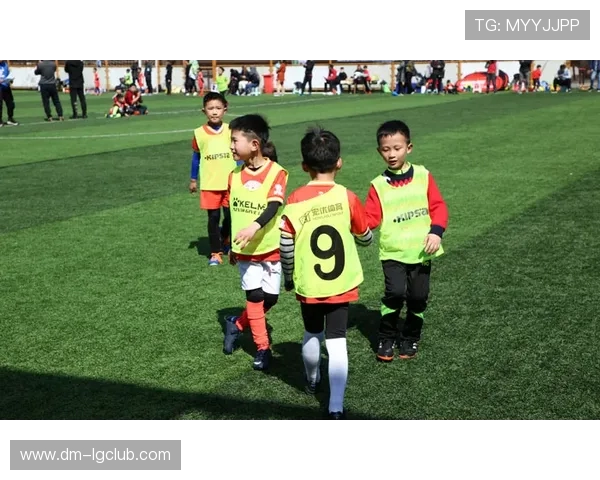 为孩子打造安全舒适的迷你足球护腿精选使用与购买全方位指南手册